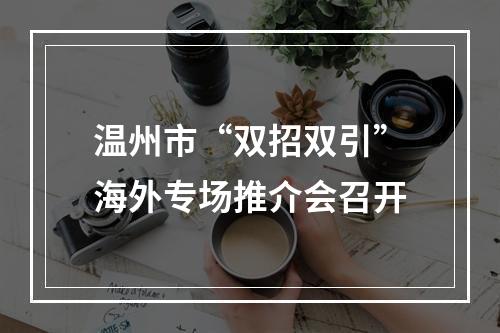 温州市“双招双引”海外专场推介会召开