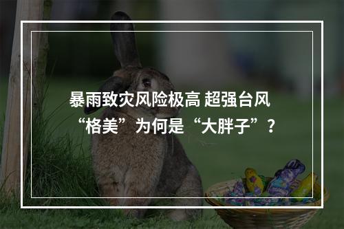 暴雨致灾风险极高 超强台风“格美”为何是“大胖子”？