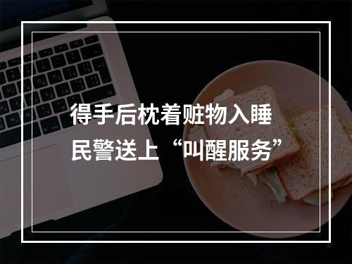 得手后枕着赃物入睡 民警送上“叫醒服务”