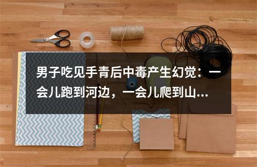 男子吃见手青后中毒产生幻觉：一会儿跑到河边，一会儿爬到山上