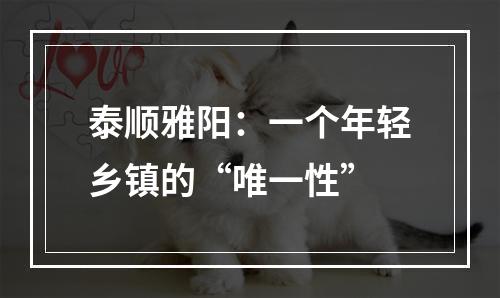 泰顺雅阳：一个年轻乡镇的“唯一性”