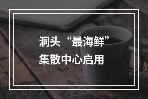 洞头“最海鲜”集散中心启用