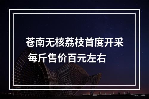 苍南无核荔枝首度开采 每斤售价百元左右
