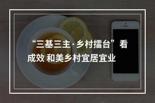 “三基三主·乡村擂台”看成效 和美乡村宜居宜业