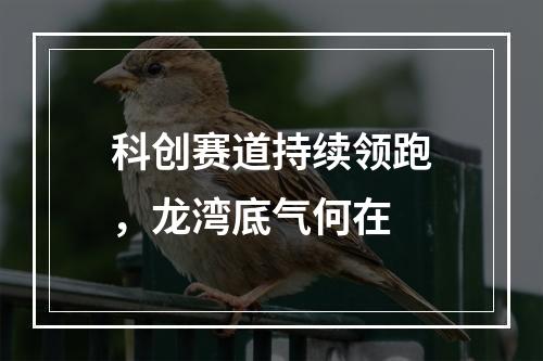 科创赛道持续领跑，龙湾底气何在