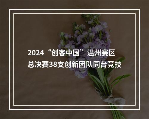 2024“创客中国”温州赛区总决赛38支创新团队同台竞技