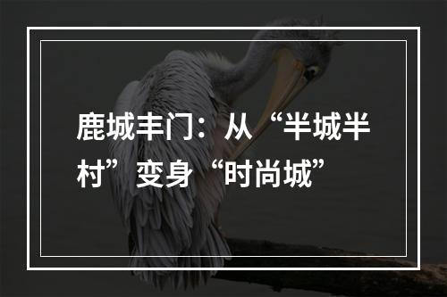 鹿城丰门：从“半城半村”变身“时尚城”