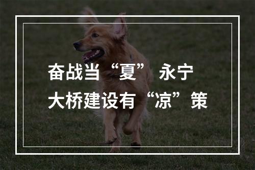 奋战当“夏” 永宁大桥建设有“凉”策