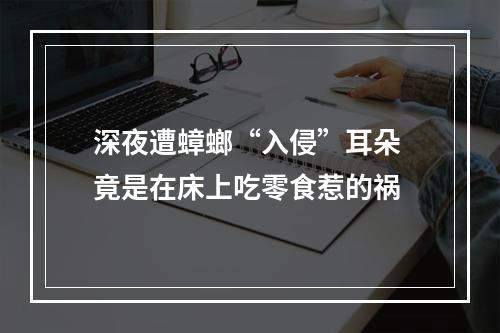深夜遭蟑螂“入侵”耳朵 竟是在床上吃零食惹的祸