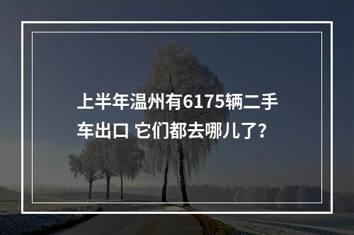 上半年温州有6175辆二手车出口 它们都去哪儿了？