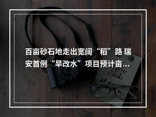 百亩砂石地走出宽阔“稻”路 瑞安首例“旱改水”项目预计亩产800斤