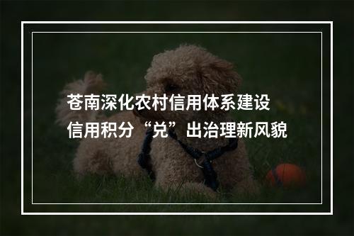 苍南深化农村信用体系建设 信用积分“兑”出治理新风貌