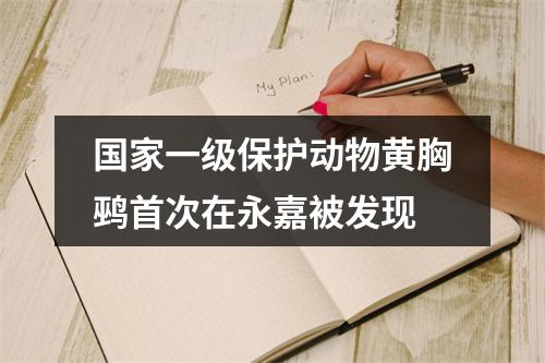 国家一级保护动物黄胸鹀首次在永嘉被发现