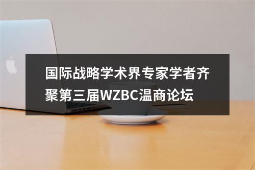 国际战略学术界专家学者齐聚第三届WZBC温商论坛