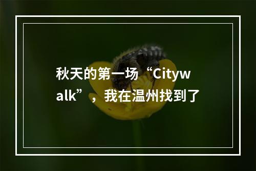 秋天的第一场“Citywalk”，我在温州找到了