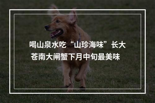 喝山泉水吃“山珍海味”长大 苍南大闸蟹下月中旬最美味