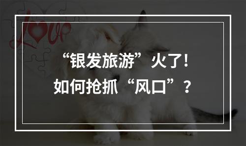 “银发旅游”火了! 如何抢抓“风口”？