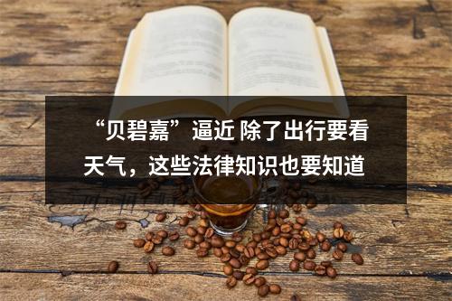 “贝碧嘉”逼近 除了出行要看天气，这些法律知识也要知道