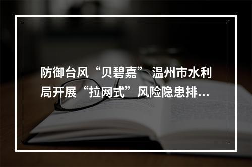 防御台风“贝碧嘉” 温州市水利局开展“拉网式”风险隐患排查