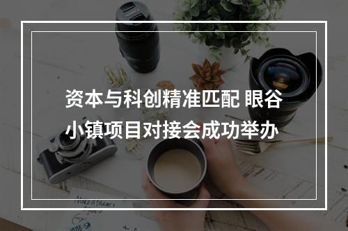 资本与科创精准匹配 眼谷小镇项目对接会成功举办