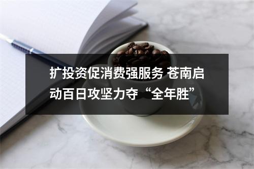 扩投资促消费强服务 苍南启动百日攻坚力夺“全年胜”