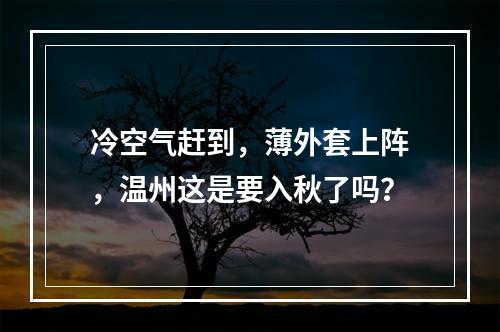 冷空气赶到，薄外套上阵，温州这是要入秋了吗？
