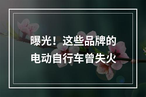 曝光！这些品牌的电动自行车曾失火