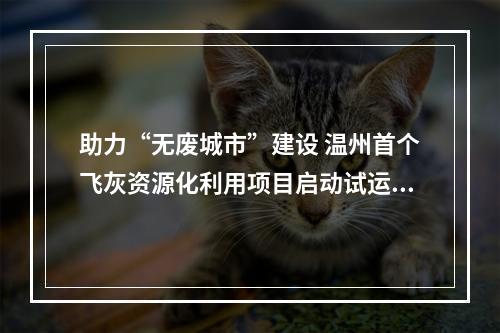 助力“无废城市”建设 温州首个飞灰资源化利用项目启动试运行