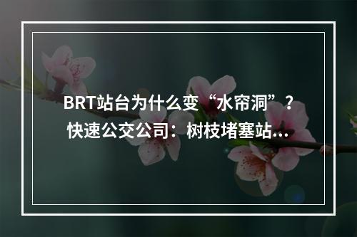 BRT站台为什么变“水帘洞”？ 快速公交公司：树枝堵塞站台排水沟，造成雨水倒灌