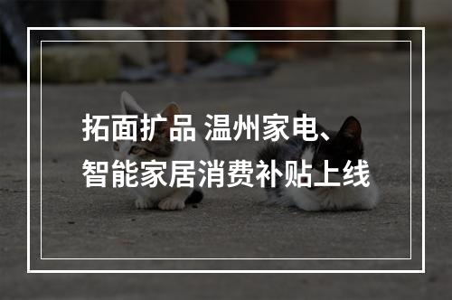 拓面扩品 温州家电、智能家居消费补贴上线