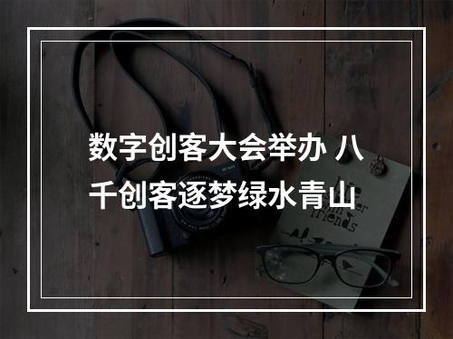 数字创客大会举办 八千创客逐梦绿水青山
