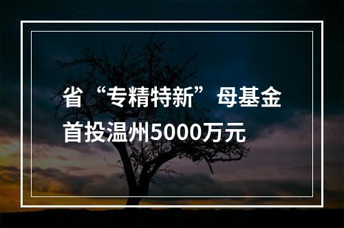 省“专精特新”母基金首投温州5000万元