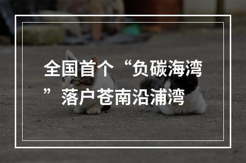 全国首个“负碳海湾”落户苍南沿浦湾