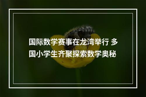 国际数学赛事在龙湾举行 多国小学生齐聚探索数学奥秘