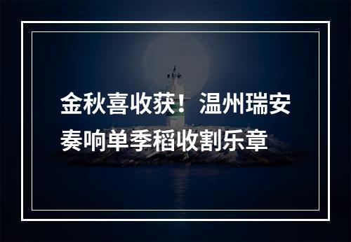 金秋喜收获！温州瑞安奏响单季稻收割乐章