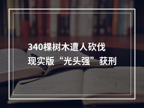 340棵树木遭人砍伐 现实版“光头强”获刑