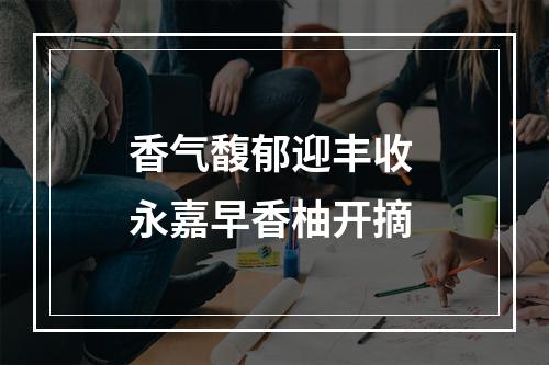 香气馥郁迎丰收 永嘉早香柚开摘