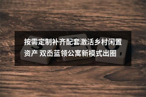 按需定制补齐配套激活乡村闲置资产 双岙蓝领公寓新模式出圈