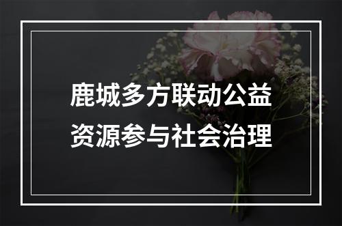 鹿城多方联动公益资源参与社会治理