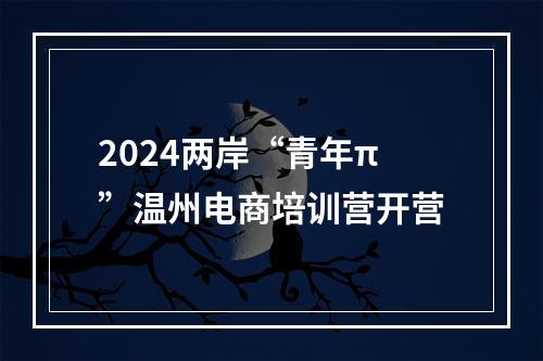 2024两岸“青年π”温州电商培训营开营