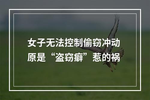 女子无法控制偷窃冲动 原是“盗窃癖”惹的祸
