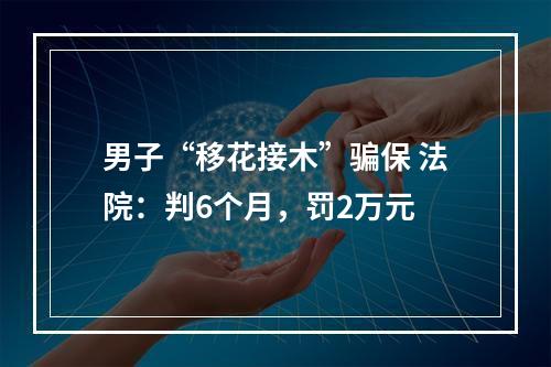 男子“移花接木”骗保 法院：判6个月，罚2万元