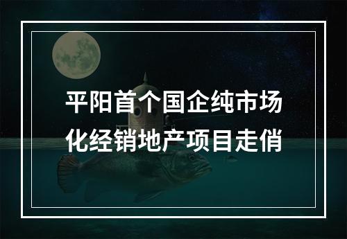平阳首个国企纯市场化经销地产项目走俏