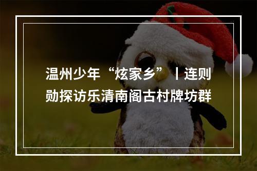 温州少年“炫家乡”丨连则勋探访乐清南阁古村牌坊群