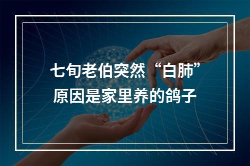 七旬老伯突然“白肺” 原因是家里养的鸽子