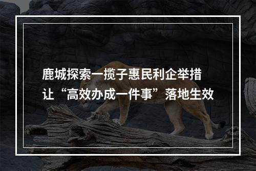 鹿城探索一揽子惠民利企举措 让“高效办成一件事”落地生效