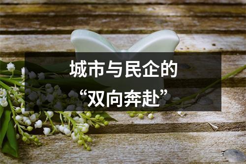 城市与民企的“双向奔赴”