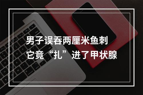 男子误吞两厘米鱼刺 它竟“扎”进了甲状腺