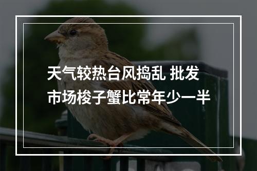 天气较热台风捣乱 批发市场梭子蟹比常年少一半