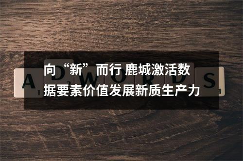 向“新”而行 鹿城激活数据要素价值发展新质生产力